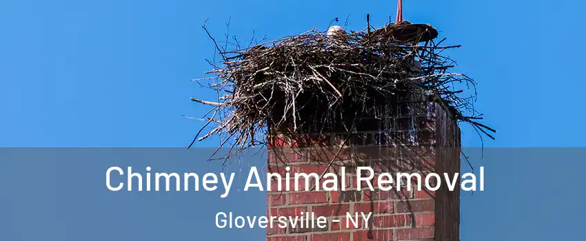 Chimney Animal Removal Gloversville - NY