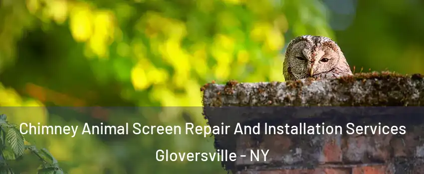  Chimney Animal Screen Repair And Installation Services Gloversville - NY